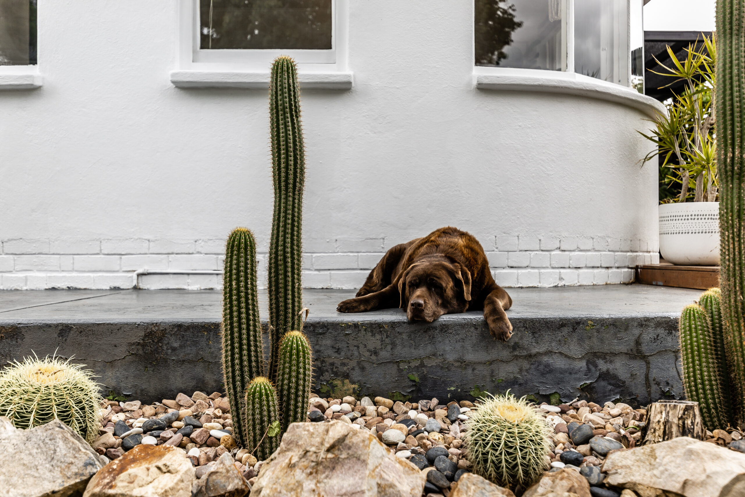 Properties for Rent in Adelaide Hills & Surrounding Areas